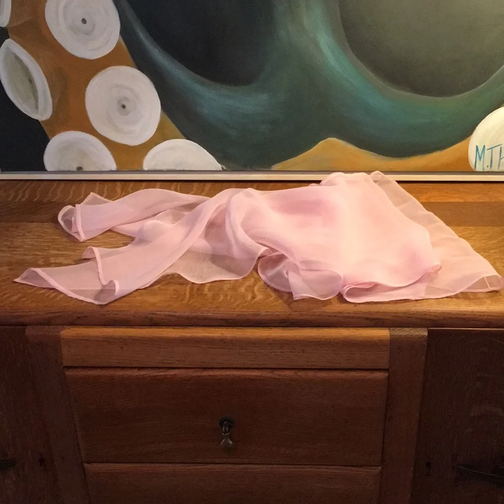 Vintage 1960’s Mike Benet Formals Pink Par… - Picture 5 of 7